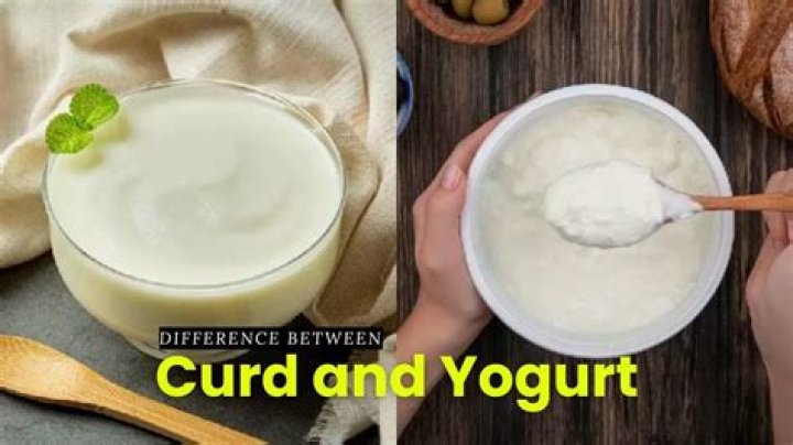 Are curd and yogurt same?