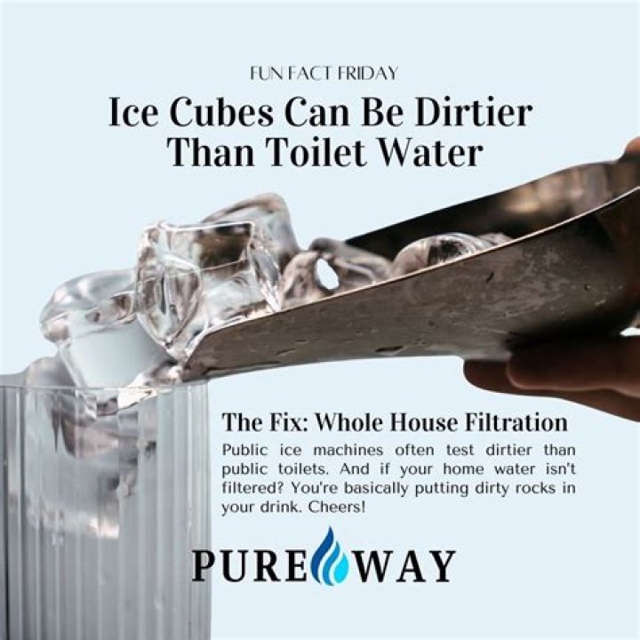 Are ice cubes dirtier than toilet water?