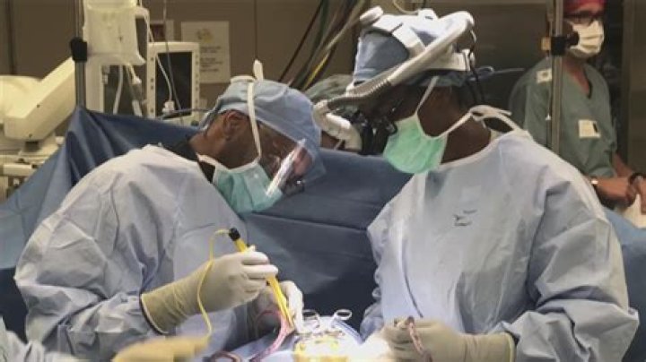 Are neurosurgeons the highest paid doctors?