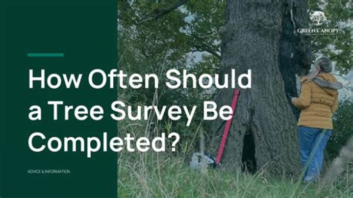 Are surveyors paid well?