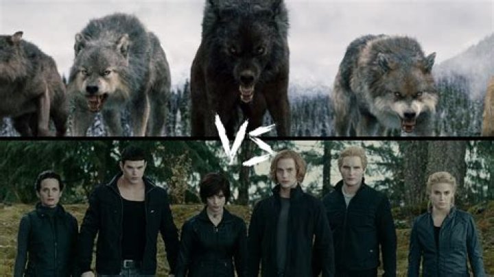 Are vampires and werewolf enemies?