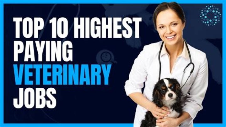 Are veterinarians in high demand?