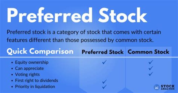 Can a company only issue preferred stock?