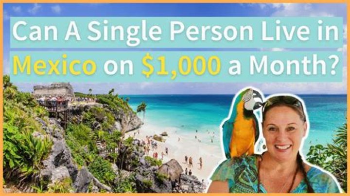 Can a single person live off 20000 a year?