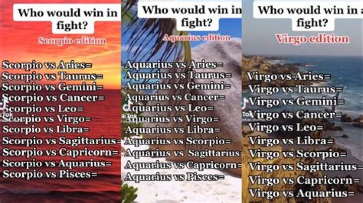 Can a Virgo fight?