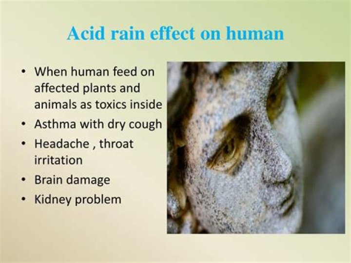 Can acid rain hurt you?