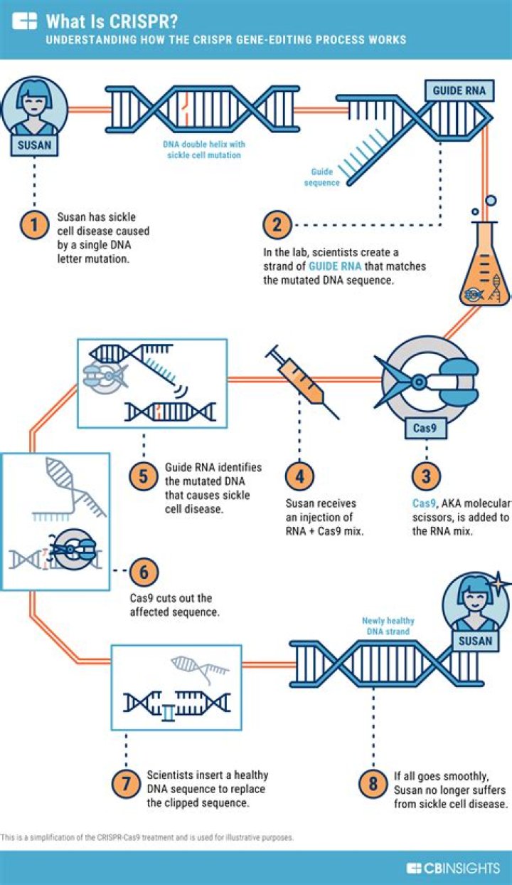 Can CRISPR improve eyesight?