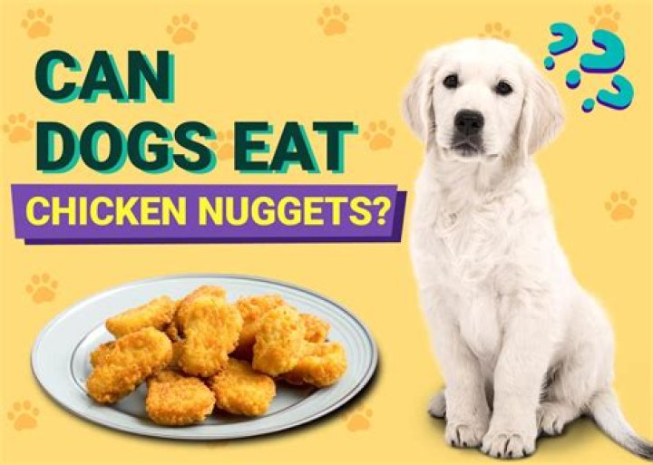Can dogs eat chicken nuggets?