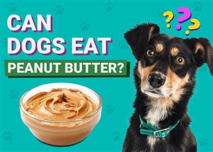 Can dogs eat peanut butter?