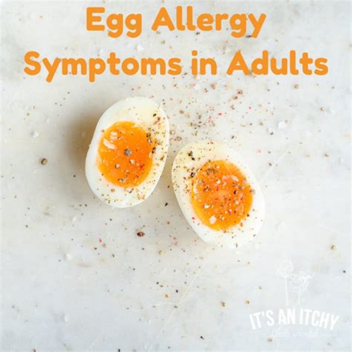 Can egg intolerance go away?