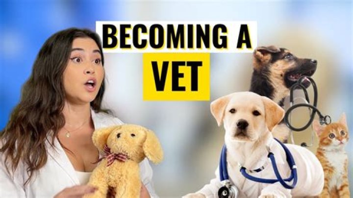 Can I become a vet with a criminal record?