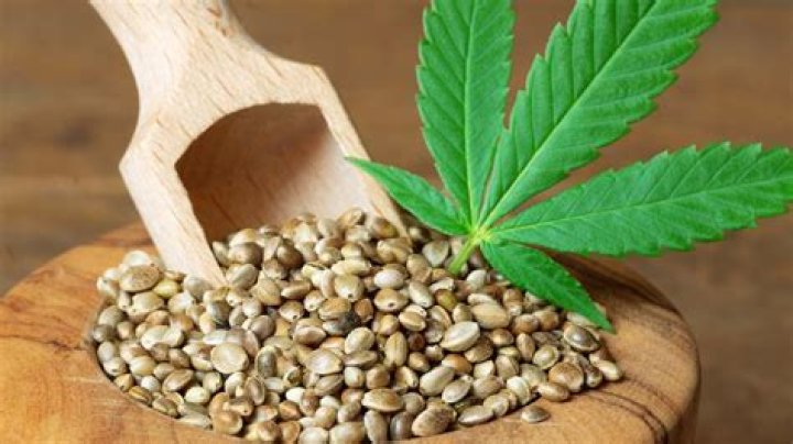 Can I eat hemp seeds in the military?