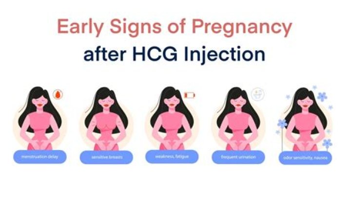 Can I get pregnant after HCG injection?