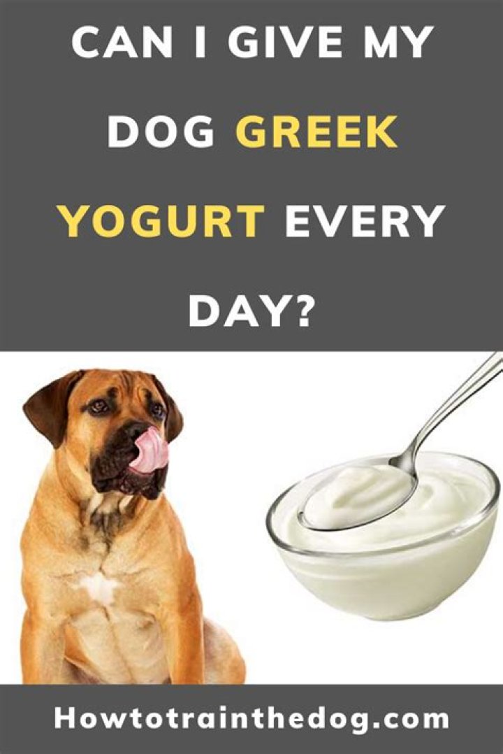 Can I give my dog yogurt everyday?