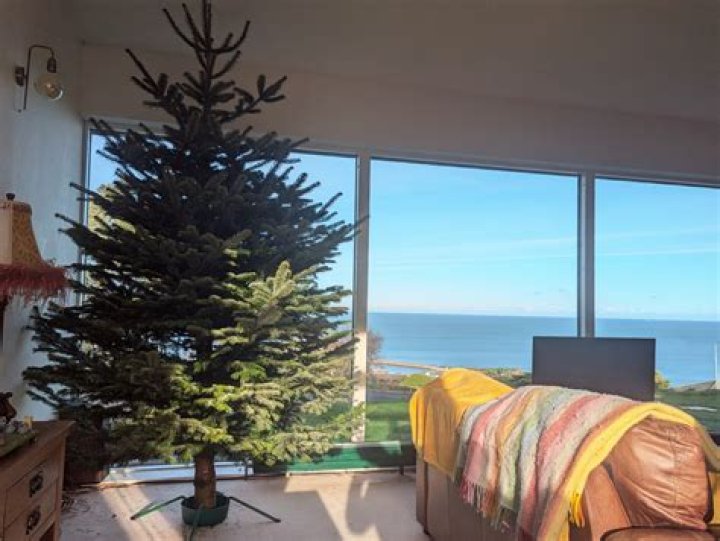 Can I have magazines delivered to my house?