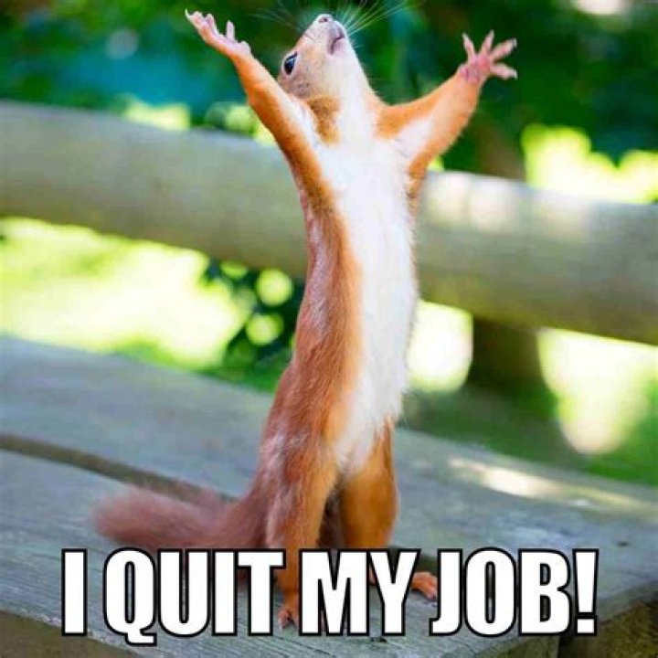 Can I just call and quit my job?