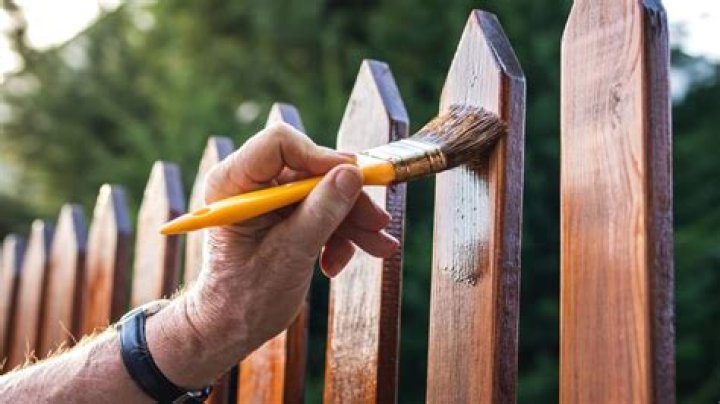 Can I paint my side of my Neighbours fence?