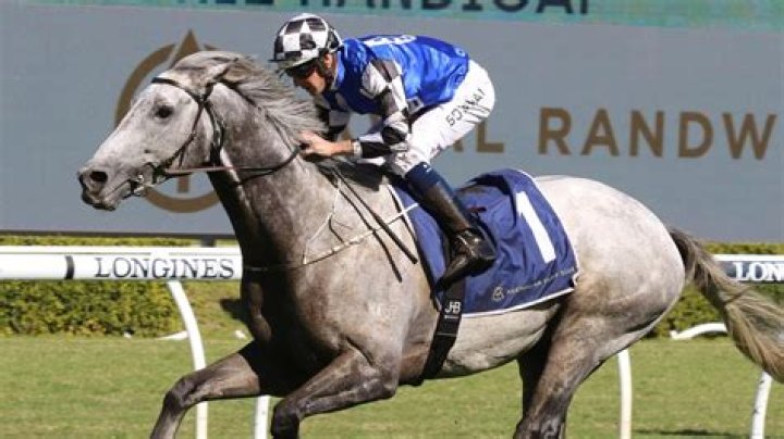 Can I purchase a jetpack?