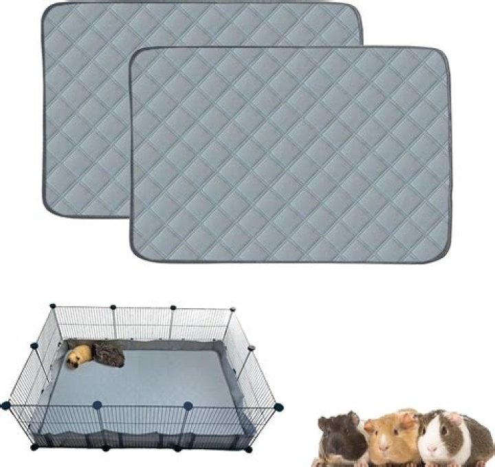 Can I use puppy pads in my guinea pig cage?