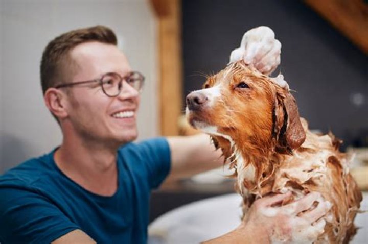 Can I wash my dog with baking soda and vinegar?