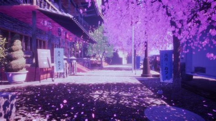 Can Shino beat Sakura?