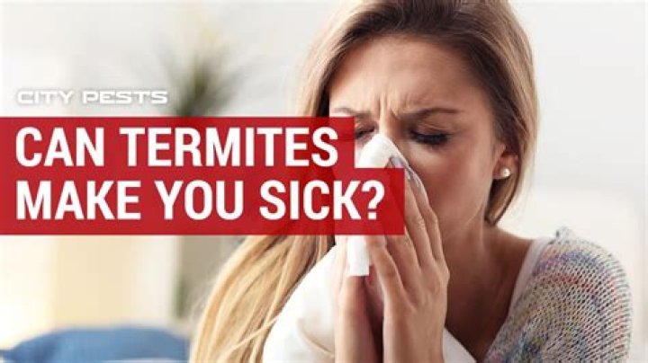 Can termites make you sick?