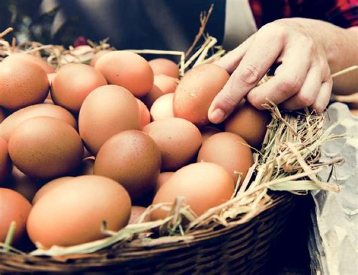 Can vegans eat home grown eggs?