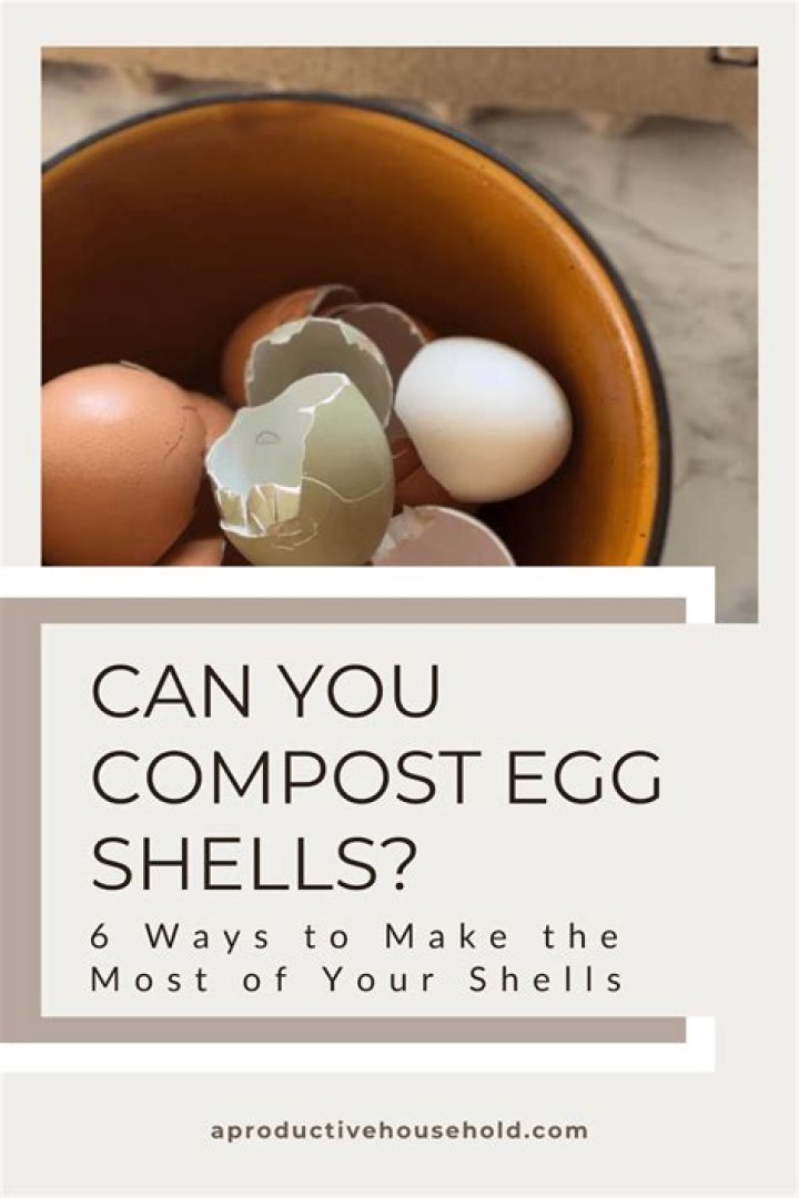 Can you compost egg shells?