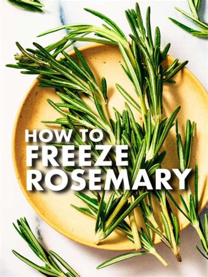 Can you freeze rosemary?
