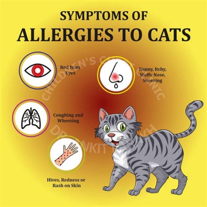 Can you get a job in Club Penguin?