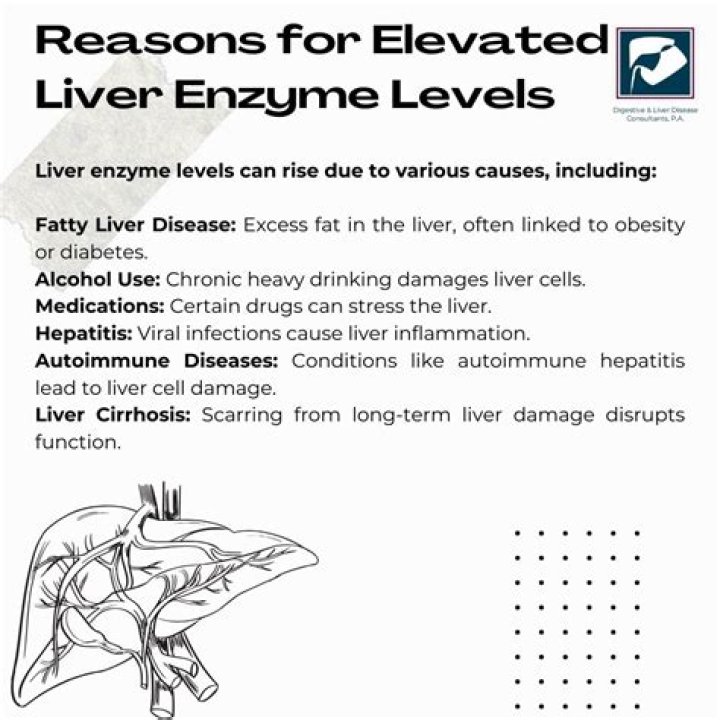 Can you have elevated liver enzymes for no reason?