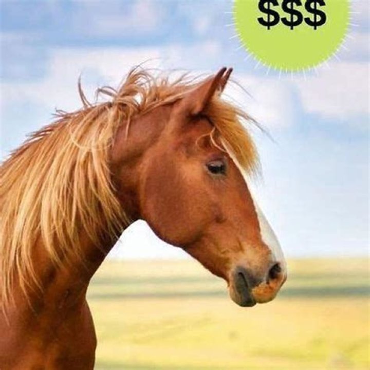Can you make money owning a horse farm?