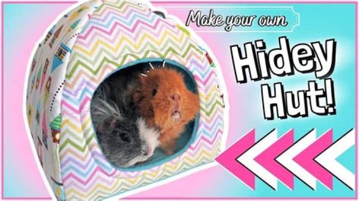 Can you make your own guinea pig bedding?