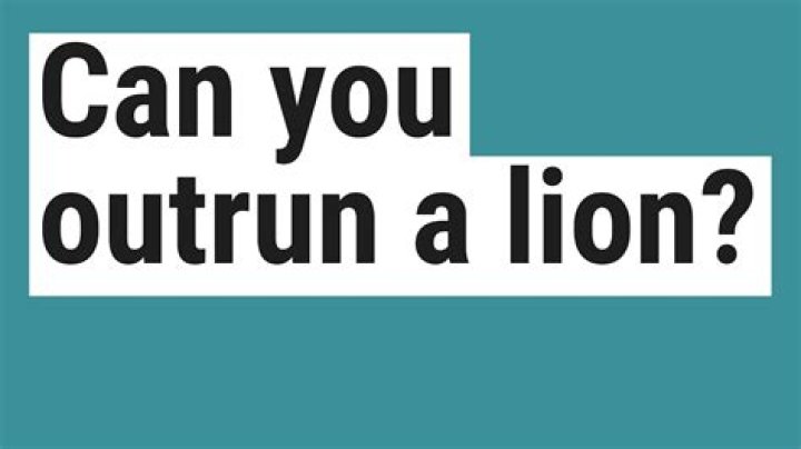 Can you outrun a lion?