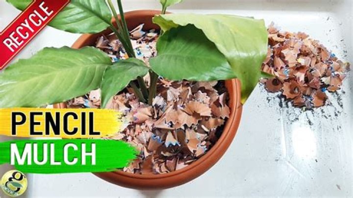 Can you put pencil shavings in compost?