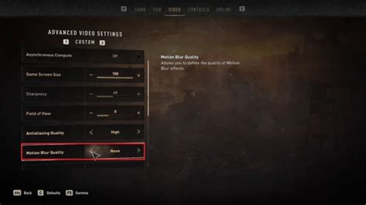 Can you turn off motion blur in Dying Light 2 PS4?