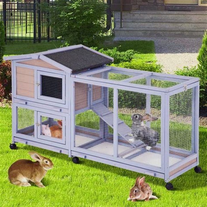 Can you use newspaper in a rabbit cage?