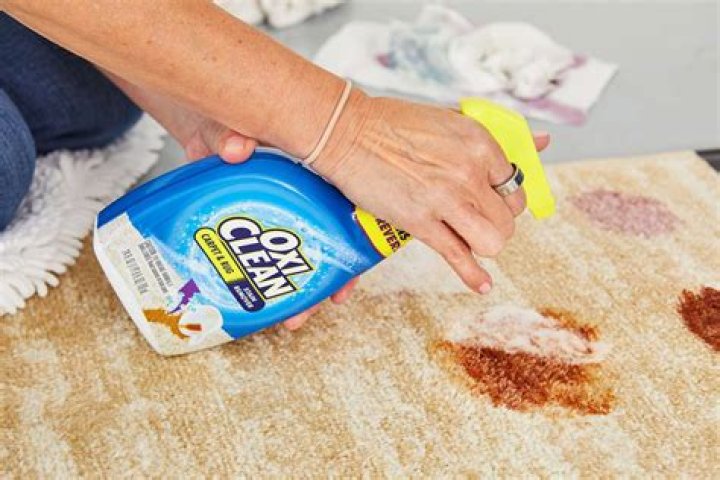 Can you use OxiClean to clean carpet?