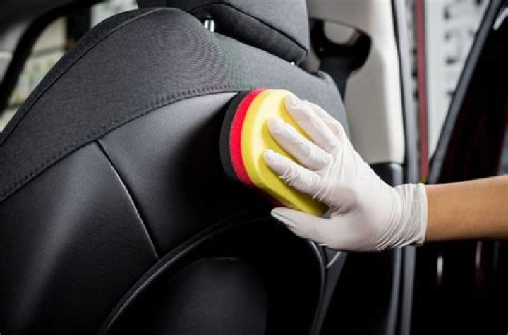 Can you use shoe polish on car interior?