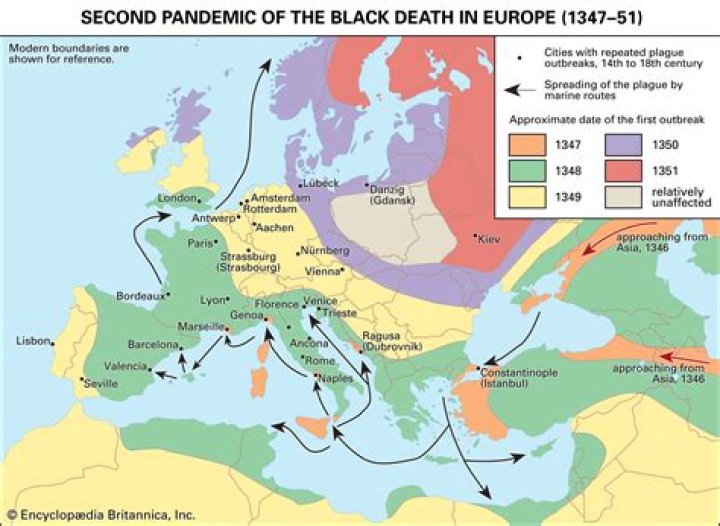 Could the Black Death have been a virus?