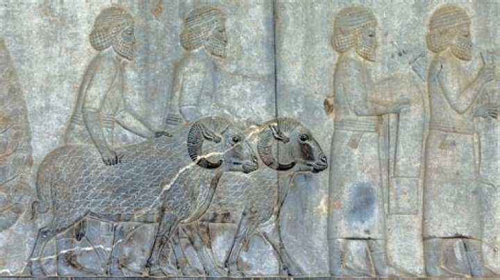 Did ancient Mesopotamians have money?
