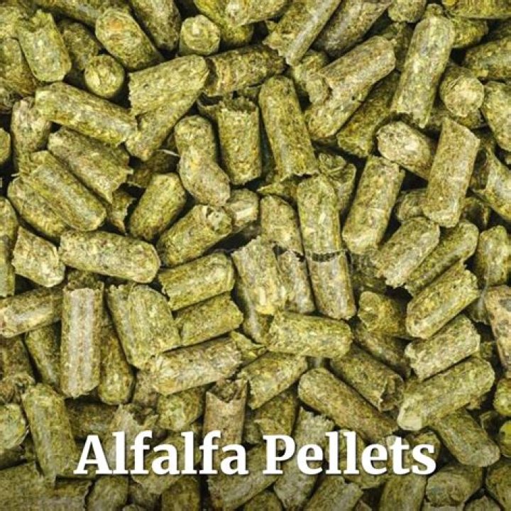 Do alfalfa pellets help with ulcers?