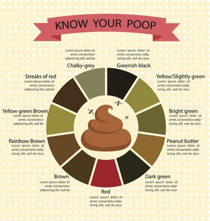 Do bees have poop?