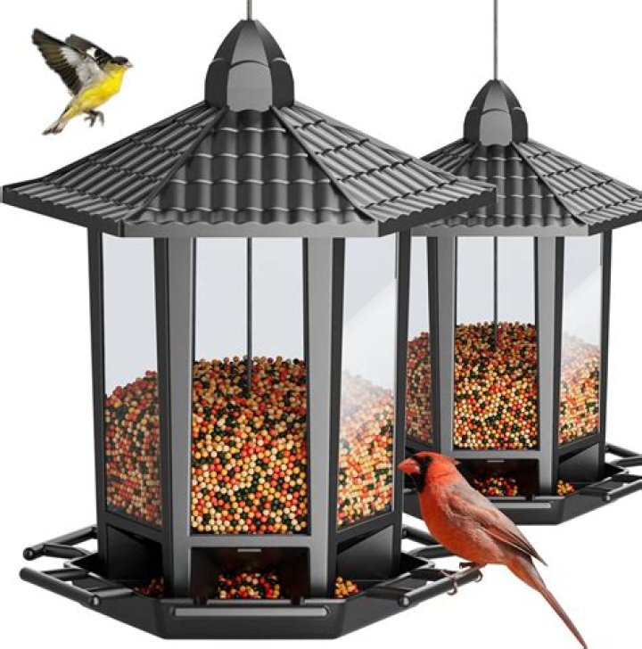 Do birds like hanging bird feeders?