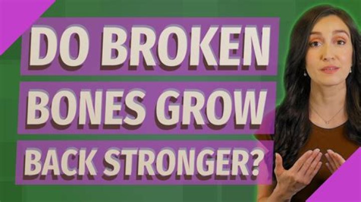 Do bones grow back together?