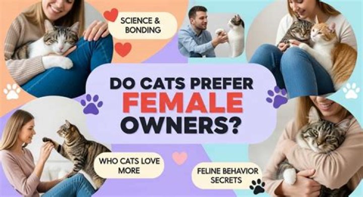 Do cats prefer female owners?
