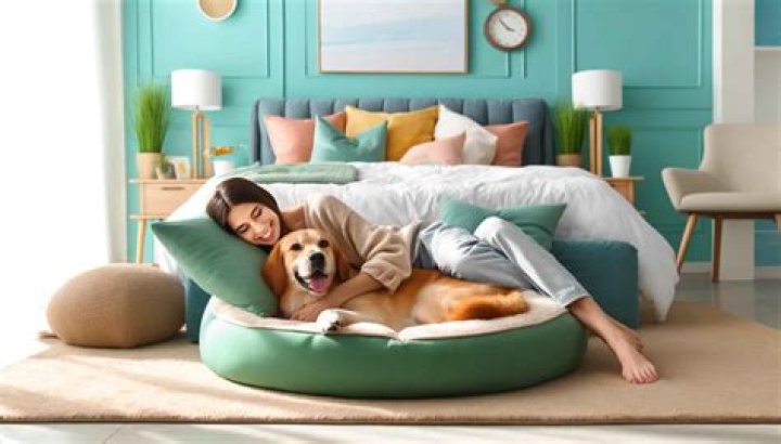 Do dogs like to cuddle in bed?