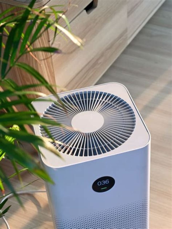 Do Dyson air purifiers remove mold?