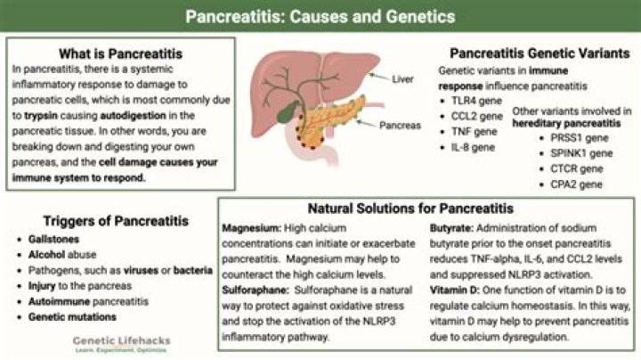 Do eggs cause pancreatitis?