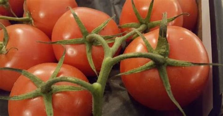 Do goats eat tomatoes?